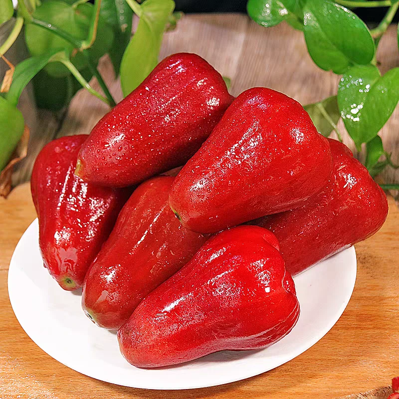 【正宗黑金刚莲雾】海南黑金刚莲雾  鲜果当季 多汁细腻 现采现摘 今天拍明天到 2斤净重 海南省新鲜