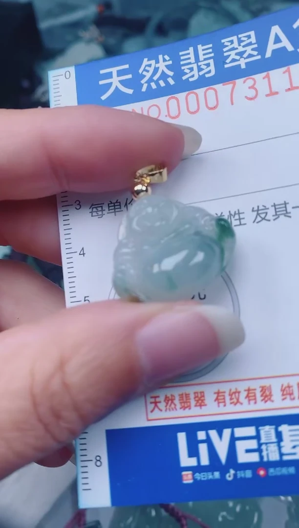 颈饰未镶嵌翡翠00007311