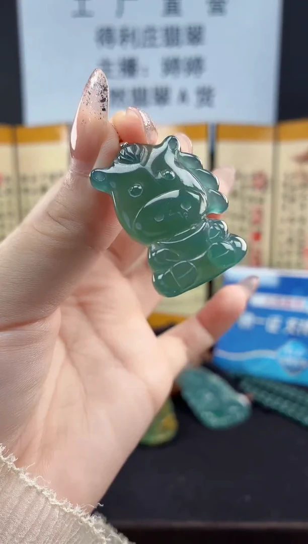 颈饰未镶嵌翡翠DLZ25110809