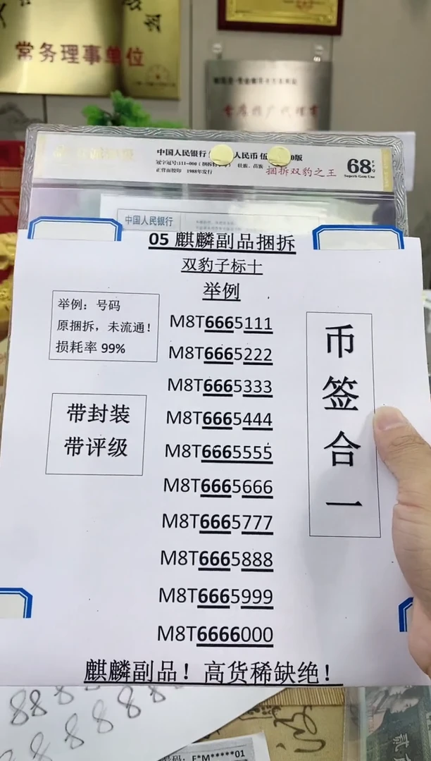 双豹子【捆拆双豹之王】