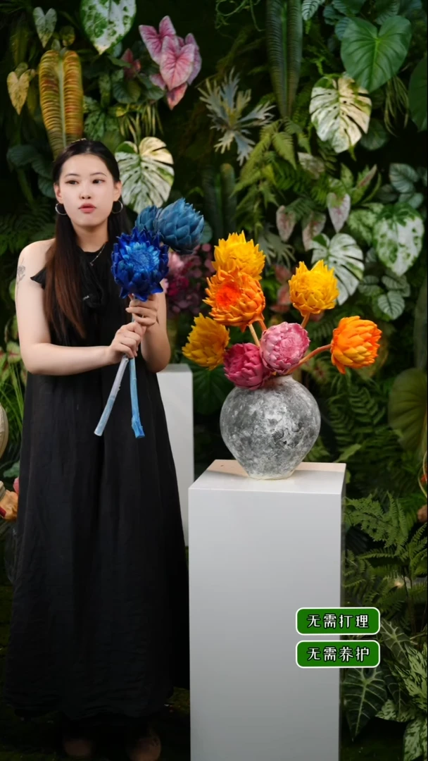 永生花洋蓟3蓝16