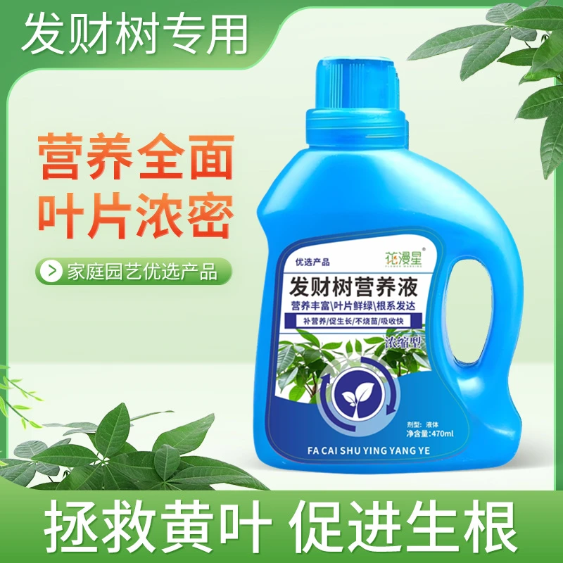 【升级版】花卉发财树类通用营养液肥料水培黄叶不发财树专用营养液