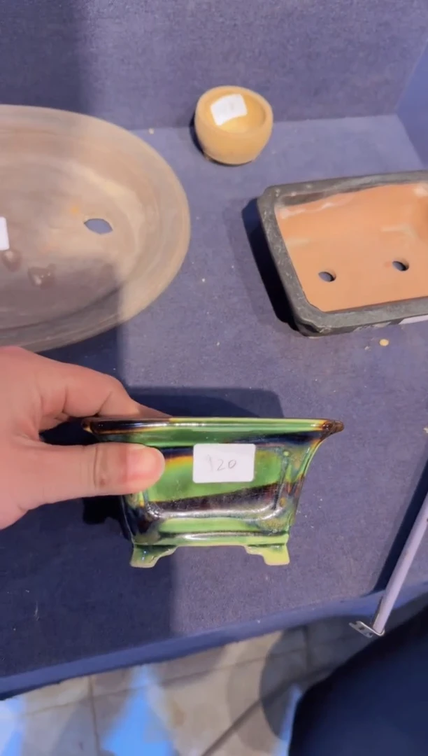 【闪购商品】-里美-V85