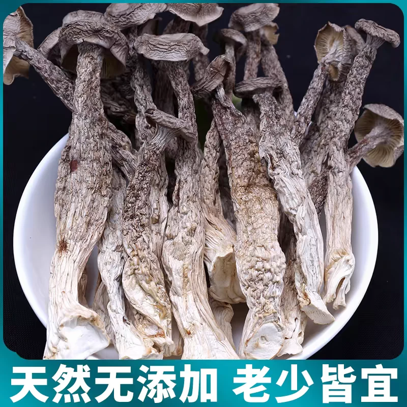 乡村表弟专属陇南山区野鹿茸菇农家收购手选货