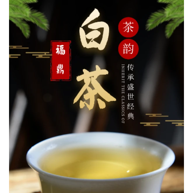 福鼎白茶 奇古枝 无奇不有