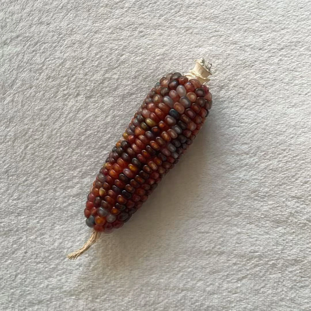 七彩玉米文玩玉米一物一拍私拍随机发