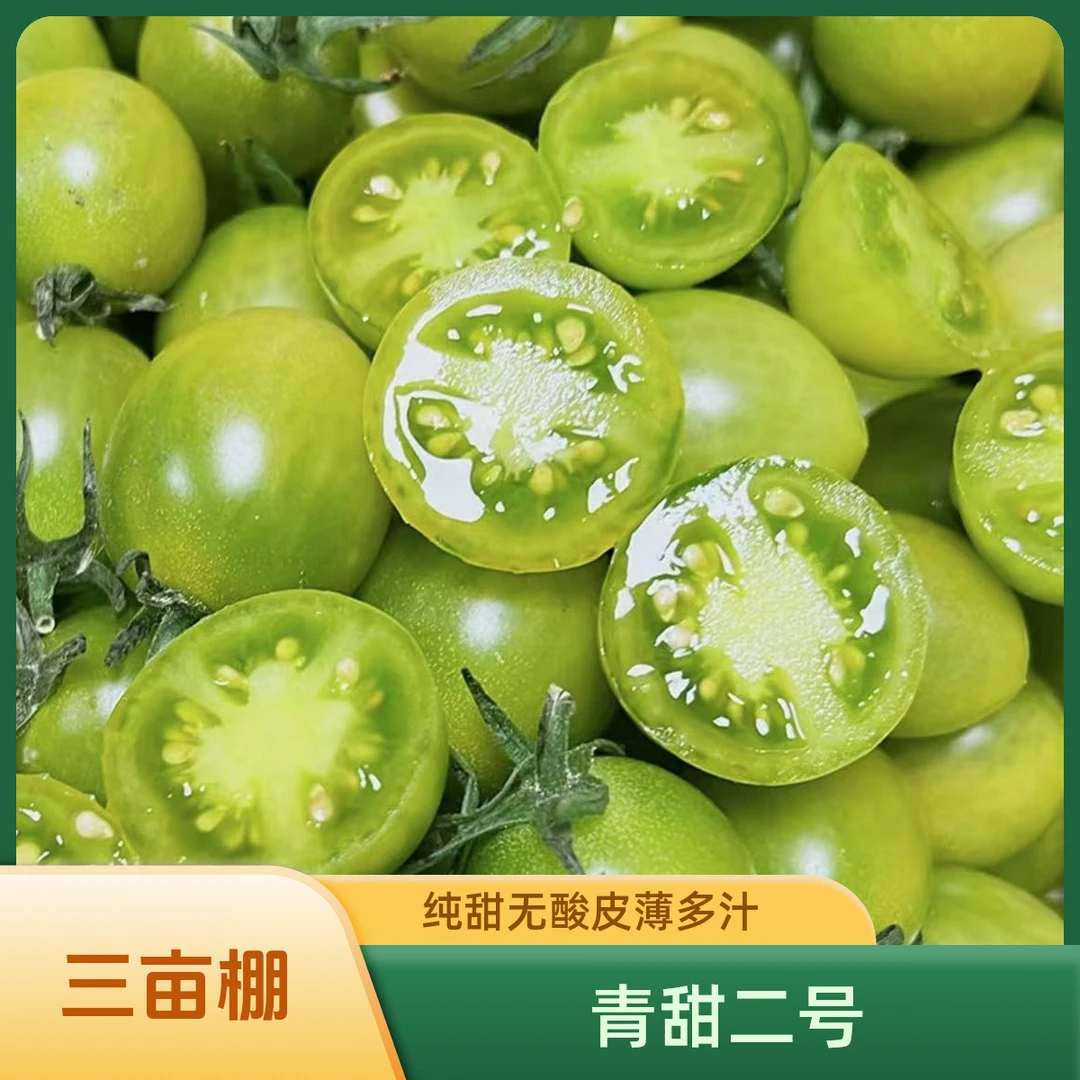 【顺丰包邮】绿色小番茄寿光青甜2号纯甜皮薄多汁圣女果新鲜采摘
