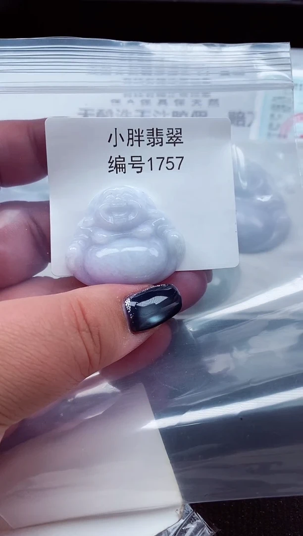 颈饰未镶嵌翡翠缅甸天然A货翡翠1574