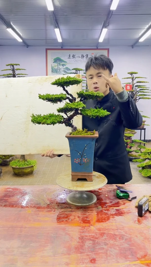 【闪购商品】一物一拍，所见即所得