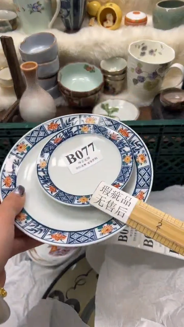 【闪购商品】瓷片          B077