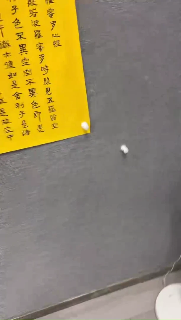 国画多*咪98号叶金福
