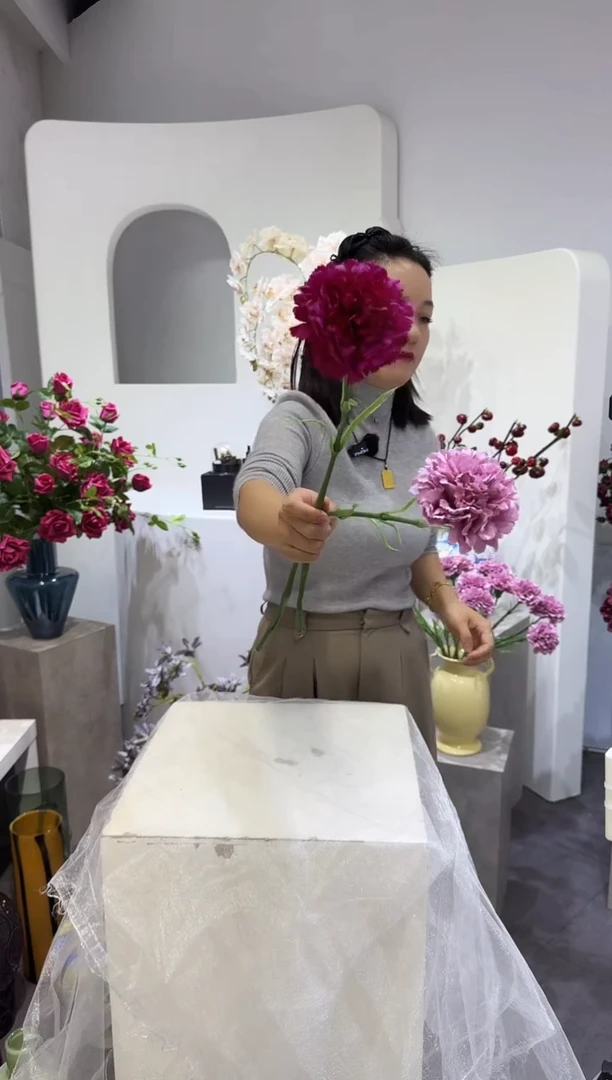 【闪购商品】藤拍10到12混色康乃馨