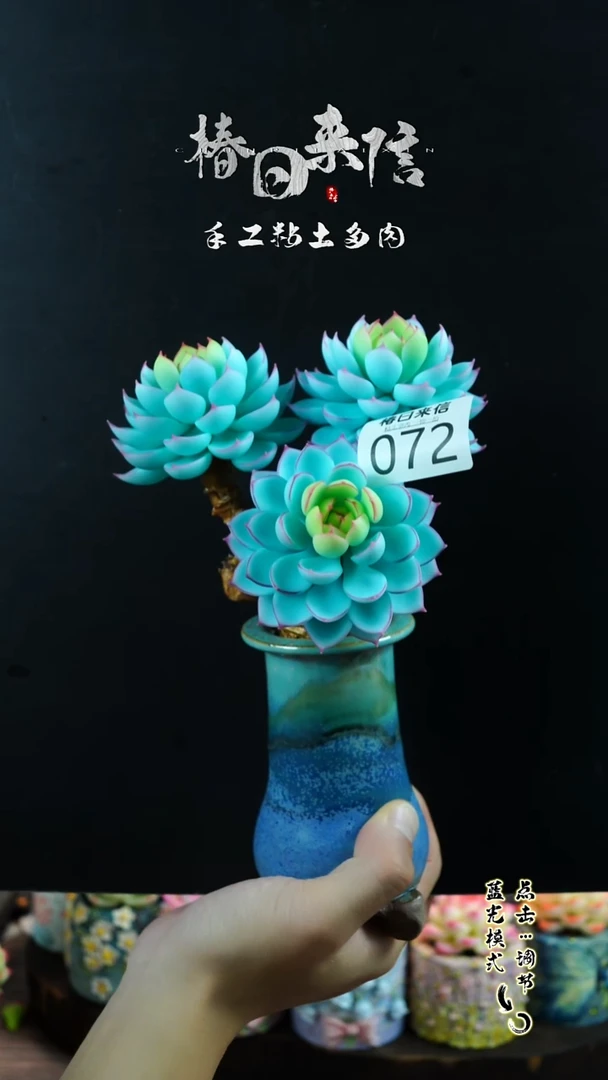 072.。。。。。。。。。。。。。