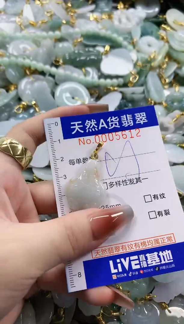 颈饰未镶嵌翡翠天然A货翡翠