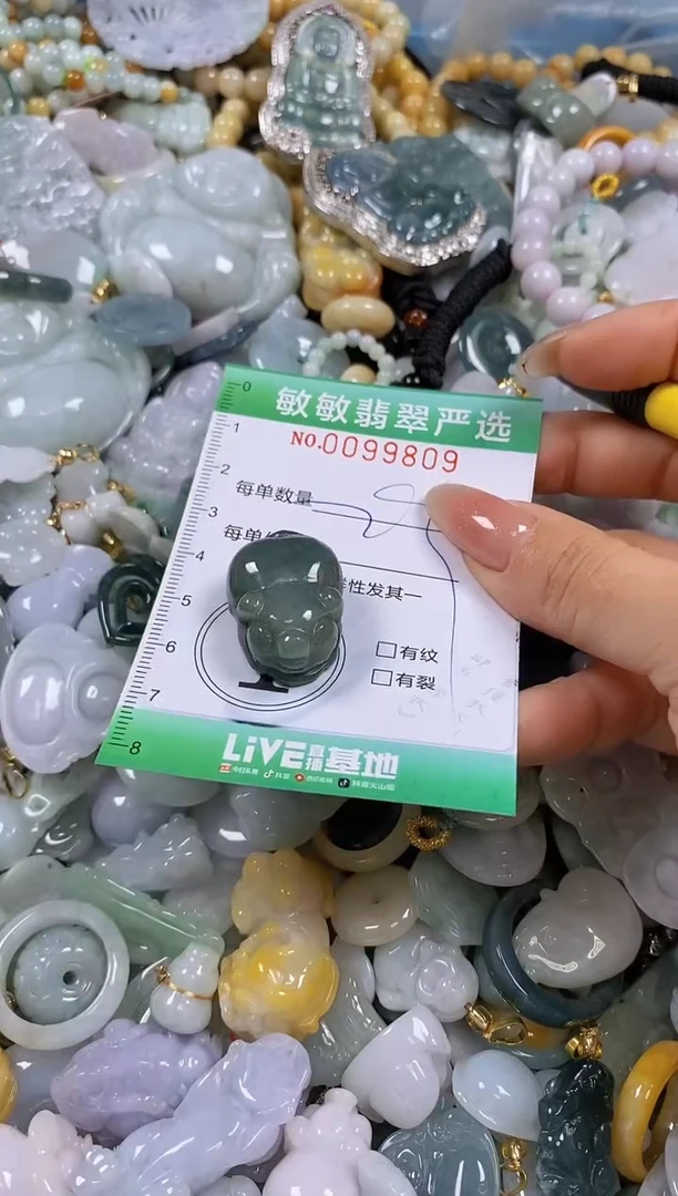 【闪购商品】翡翠颈饰未镶嵌闪购0099809