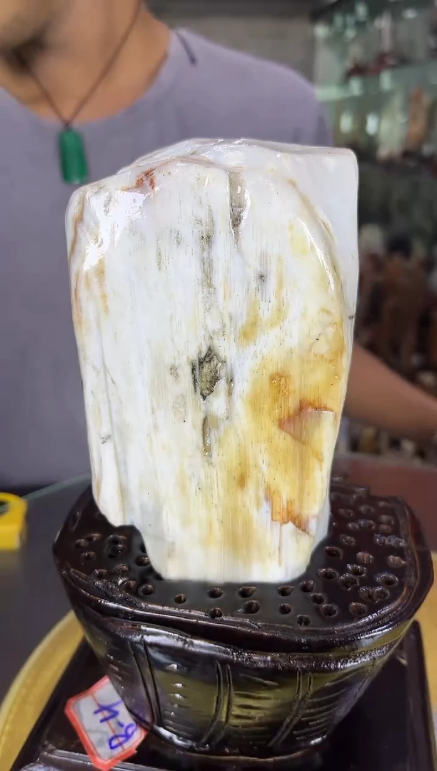 硅化玉珠宝奇石未镶嵌缅甸天然树化玉