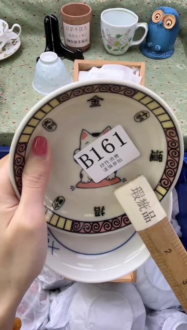 瓷片       B161
