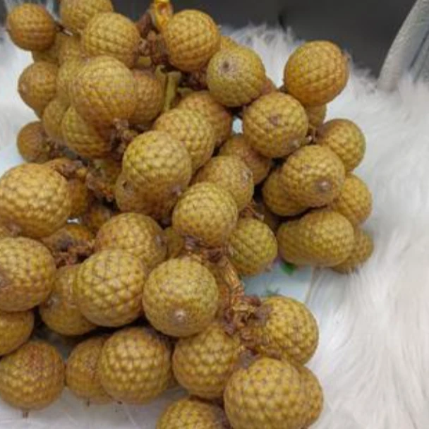 星月缘星月菩提卡车链接，勿拍！