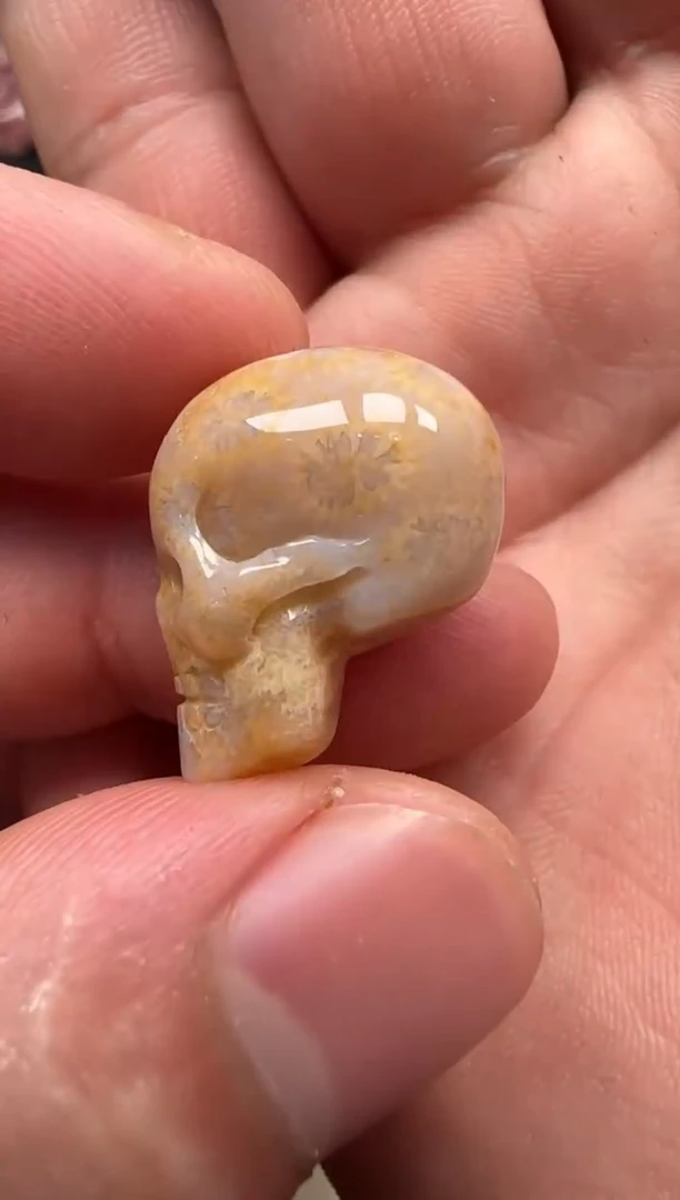 【闪购商品】硅化珊瑚（珊瑚玉）颈饰未镶嵌669