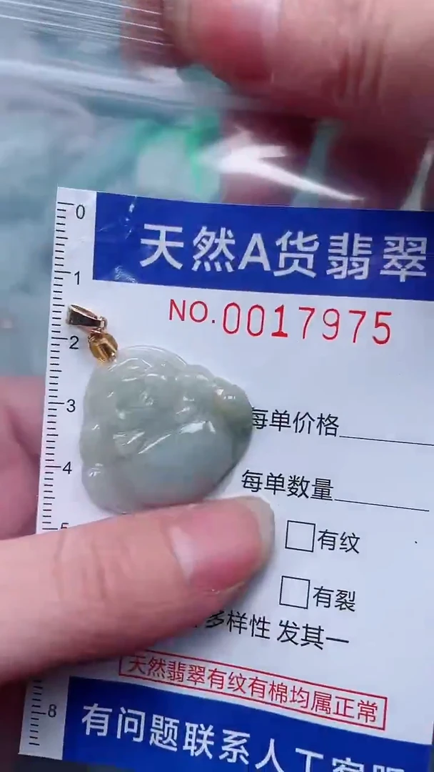 翡翠未镶嵌吊坠(赠链)1