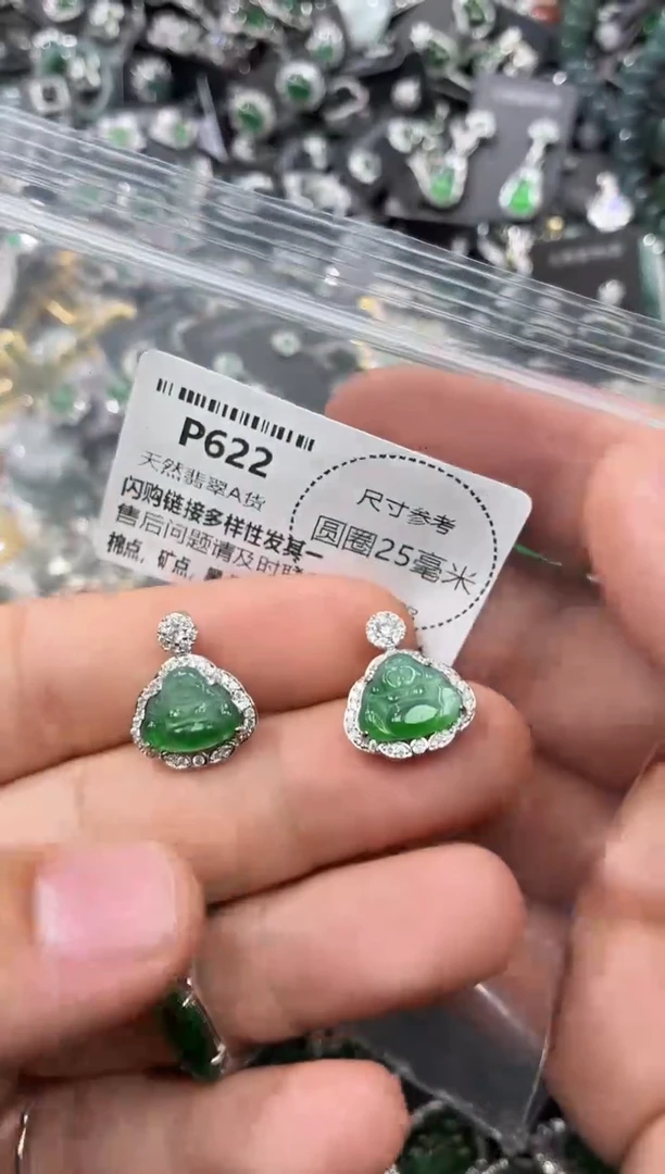 翡翠未镶嵌颈饰P622多样性发其一