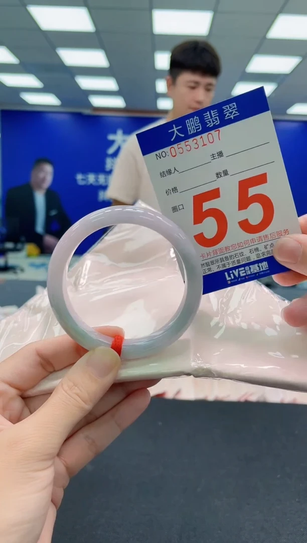 未镶嵌手镯翡翠AAAAAAAAA
