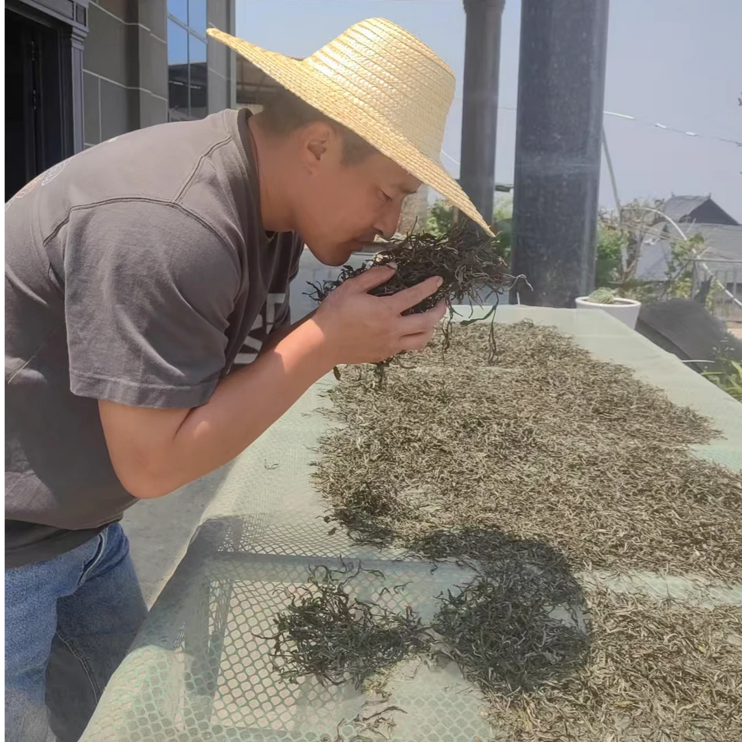 遇见好茶系列 2025年布朗山啊梭寨头春头採200克 500克