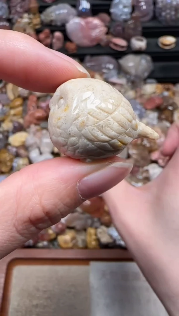 颈饰未镶嵌硅化珊瑚（珊瑚玉）336