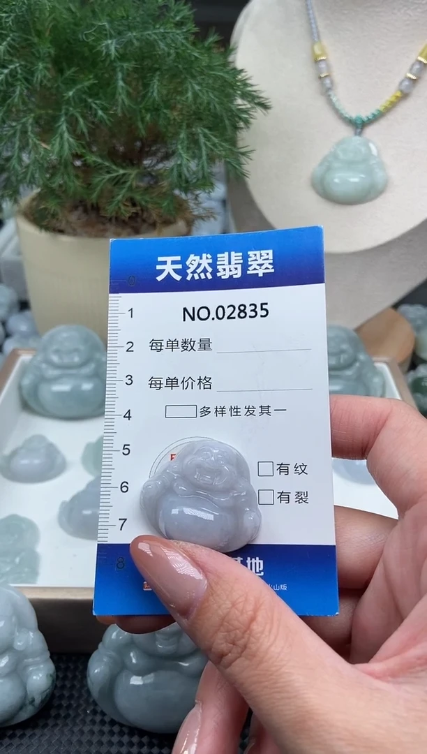 颈饰未镶嵌翡翠纯天然A货翡翠2835