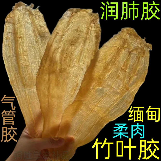 缅甸竹叶胶鱼胶花胶干货鱼胶干货营养滋补佳品豆仁胶上等花胶