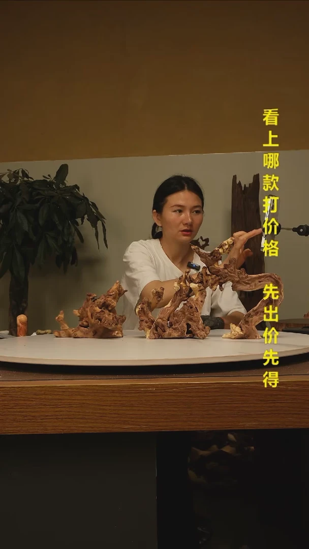 木柏*堂金丝红木014