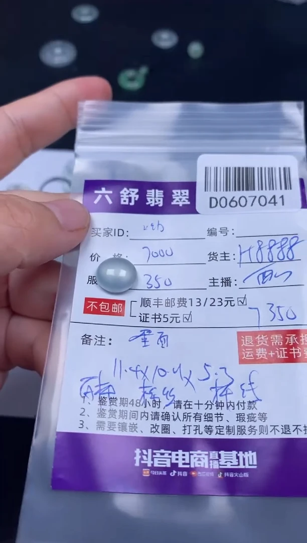 翡翠未镶嵌吊坠(不含链)D0607041