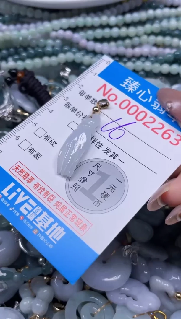 颈饰未镶嵌翡翠2263