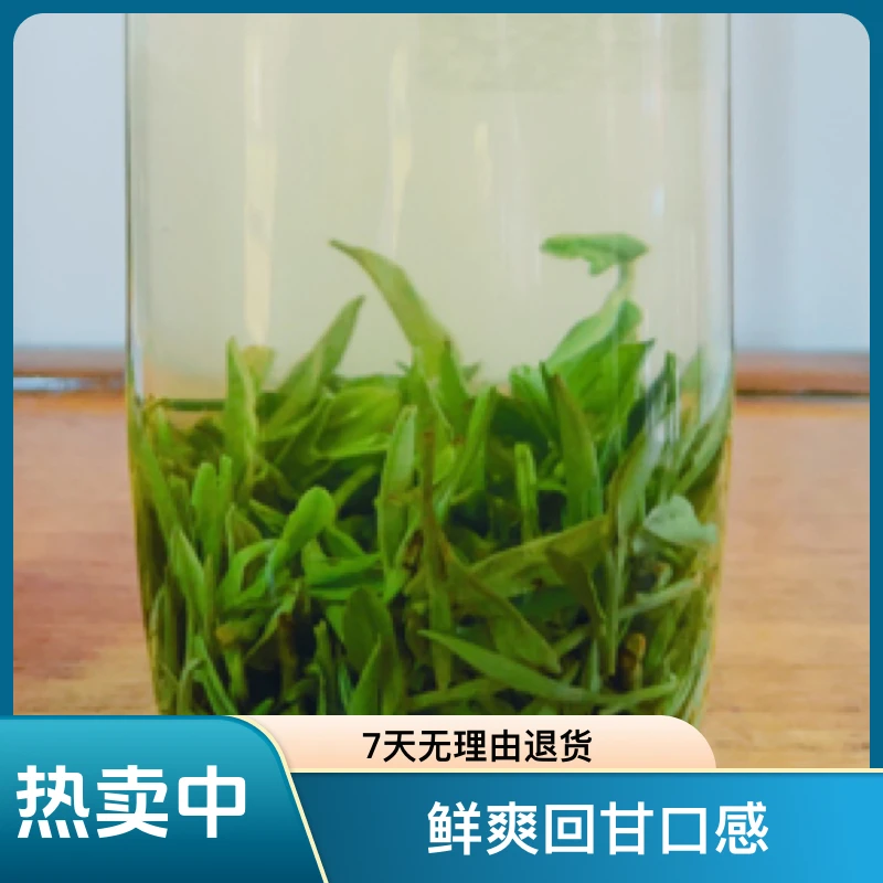 2025 年新茶～早春毛峰绿茶～四川芽茶
