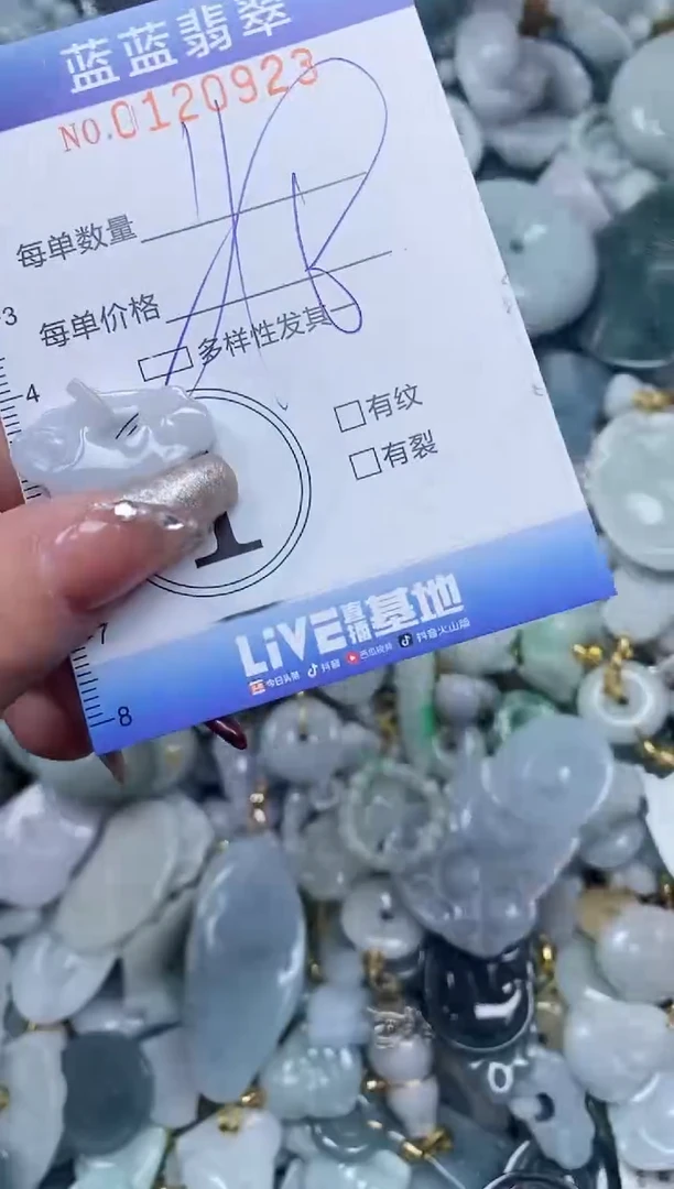 【闪购商品】翡翠颈饰未镶嵌闪购0120923多样性发其一