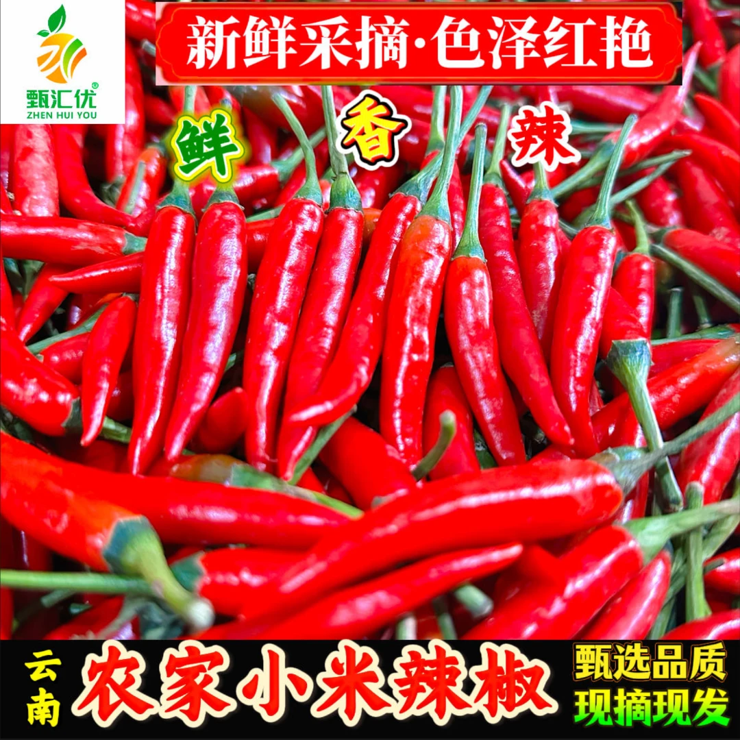 甄汇优 d云南新鲜现摘小米辣椒特辣朝天椒可用于餐饮调味现摘现发