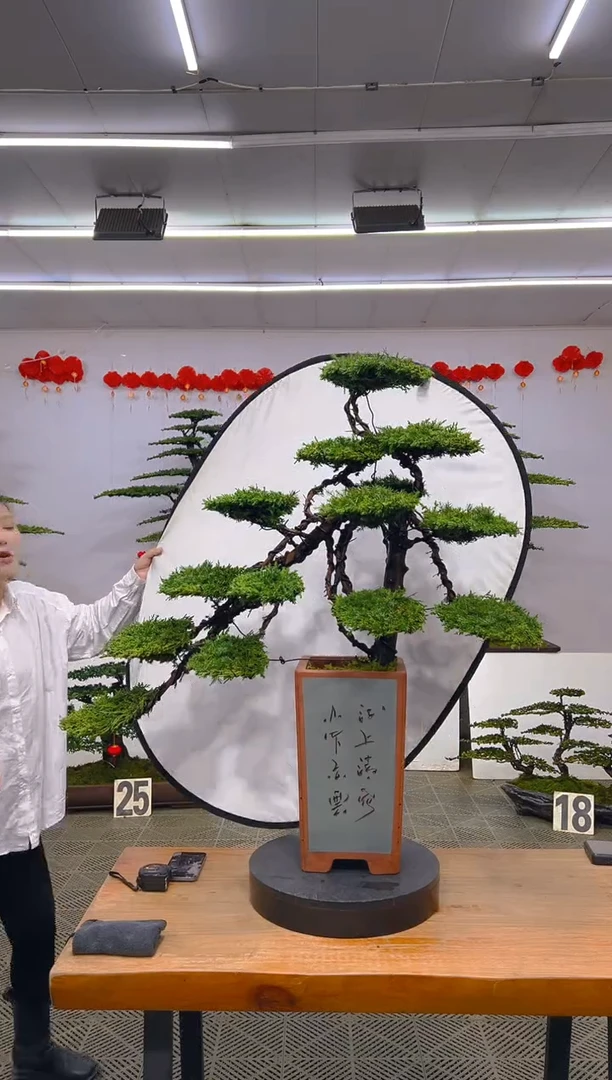 【闪购商品】盆景1