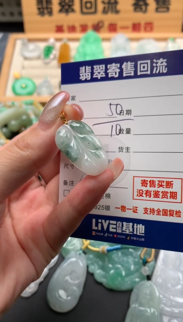 翡翠18K金镶嵌颈饰10142991