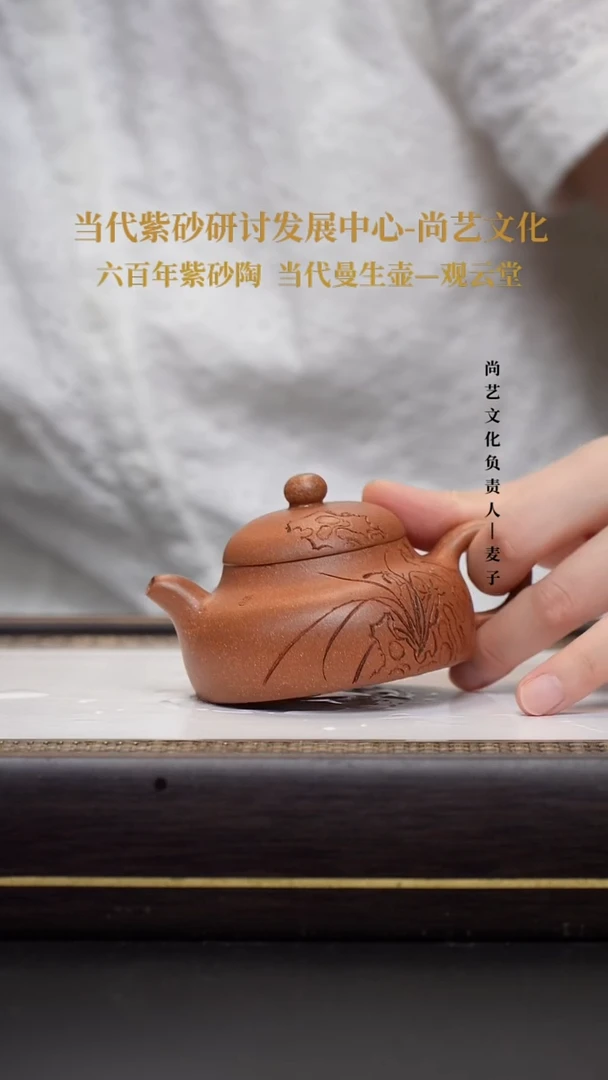 茶壶紫砂黄降坡 鱼罩 FWH