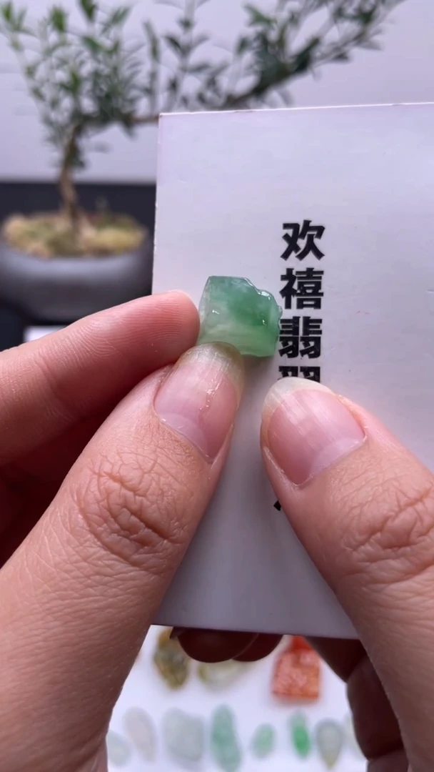 吊坠(不含链)未镶嵌翡翠缅甸天然翡翠，不包工