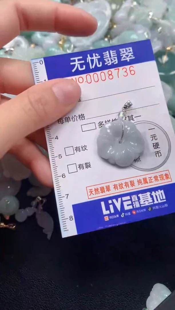 颈饰未镶嵌翡翠8736