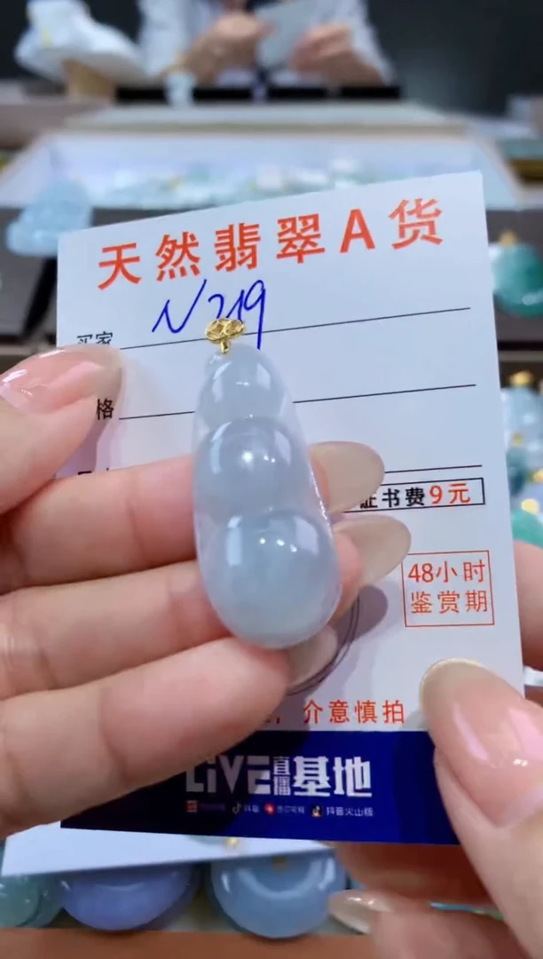 颈饰未镶嵌翡翠天然缅甸翡翠A货挂件