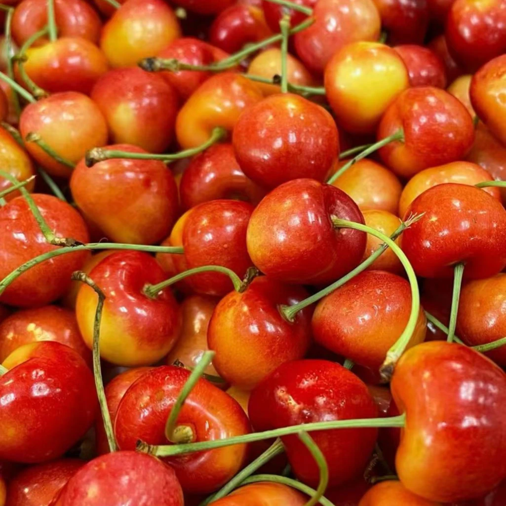 【空运金车】进口3J雷尼尔车厘子【Rainier】4.4斤原箱装内附果径卡L