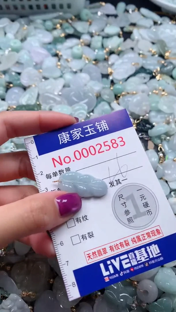 颈饰未镶嵌翡翠2583