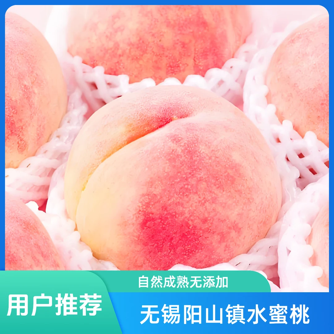 正宗无锡水蜜桃阳山水蜜桃子纯甜多水白凤新鲜水果8-12枚礼盒装