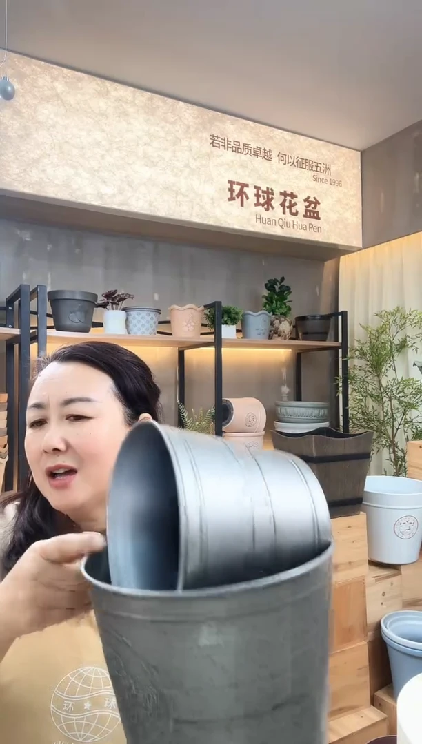 蝴蝶盆5只+向日葵铁皮色5只装