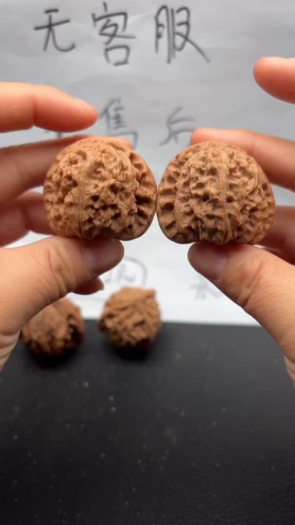 把件文玩核桃319白狮子