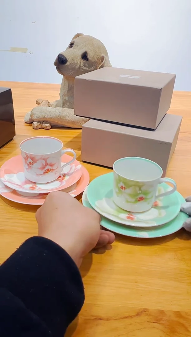 【闪购商品】瓷片a160一对好好好好好好