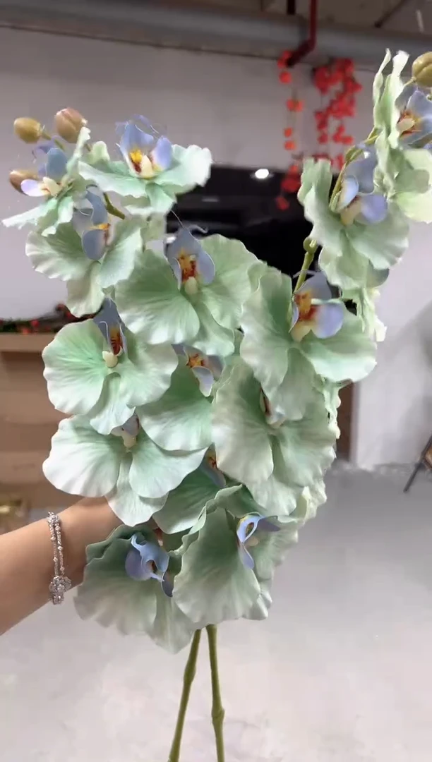 2枝绿色手感胶片蝴蝶兰