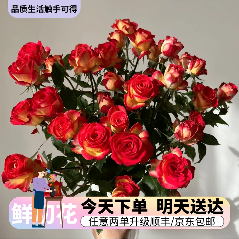 『红玫瑰多头』今日下单明日送达 生活鲜切花同城批发直播